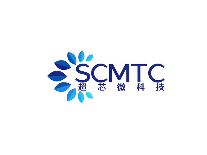 曹婷,公司经营范围包括:一般项目:半导体器件专用设备制造